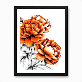 Orange Peonies 1 Art Print