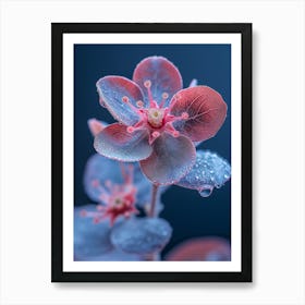 Dewy Flower Art Print