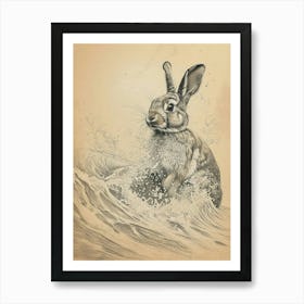 Blanc De Hotot Rabbit Drawing 4 Art Print