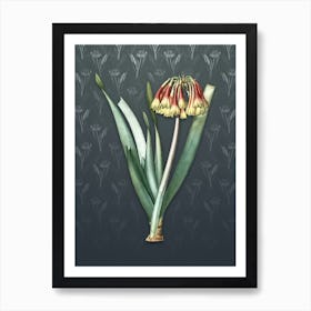 Vintage Knysna Lily Botanical on Slate Gray Pattern n.1463 Art Print