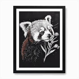 Red Panda Sniffing A Flower Ink Illustration 3 Art Print