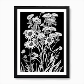 Sneezeweed Wildflower Linocut 1 Art Print