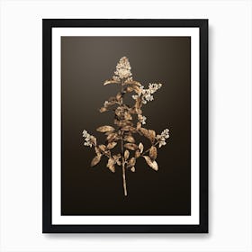 Gold Botanical Wild Privet on Chocolate Brown n.3424 Art Print