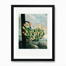 Vintage Botanical Temple Of Flora _2476830 Art Print