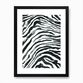 Zebra Black And White Art Print