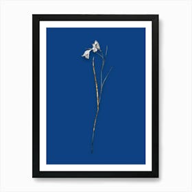 Vintage Blue Pipe Black and White Gold Leaf Floral Art on Midnight Blue n.0794 Art Print