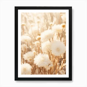 Boho Dried Flowers Chrysanthemum 1 Art Print