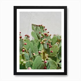 Desert Cactus II on Film Art Print