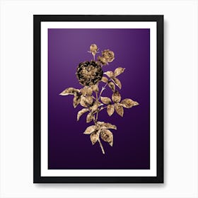 Gold Botanical One Hundred Leaved Rose on Royal Purple n.4118 Art Print