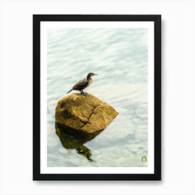 Cormorant On A Rock 20190414 16pub Art Print