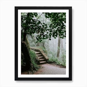 Stairways into the wood, Sintra Art Print