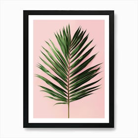 Palm Leaf On Pink Background 3 Art Print