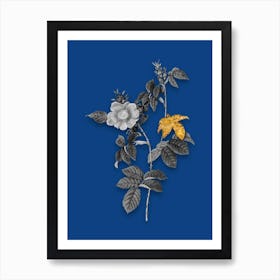 Vintage Dog Rose Black and White Gold Leaf Floral Art on Midnight Blue n.0351 Art Print