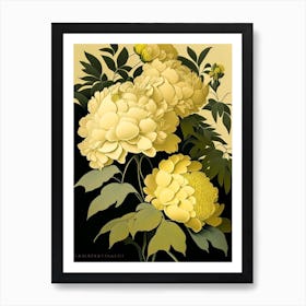 Sarah Bernhardt Peonies Yellow Vintage Sketch Art Print