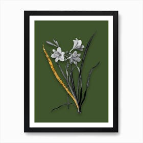 Vintage Daylily Black and White Gold Leaf Floral Art on Olive Green n.0842 Art Print