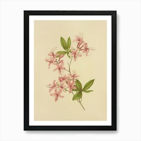 Lily Of The Valley 4 Art Print