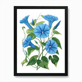 Morning Glory Art Print