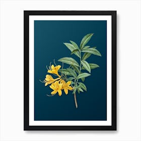 Vintage Yellow Azalea Botanical Art on Teal Blue n.0763 Art Print
