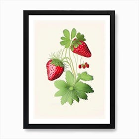 Wild Strawberries, Plant, Retro Drawing 1 Art Print