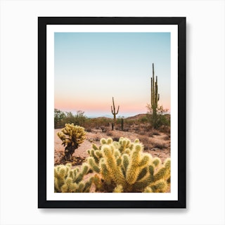 Cactus Desert Sunset Art Print