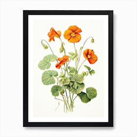 Nasturtiums Flower Vintage Botanical 1 Art Print