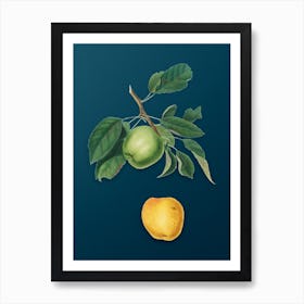 Vintage Apple Botanical Art on Teal Blue n.0807 Art Print