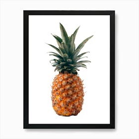 Pineapple Isolated On White Art Print