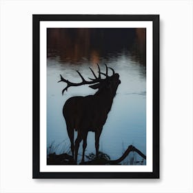 Lakeside Elk Art Print