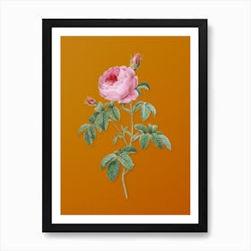 Vintage Provence Rose Bloom Botanical on Sunset Orange n.0765 Art Print