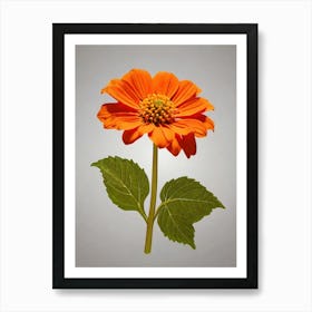 Orange Chrysanthemum Flower Art Print