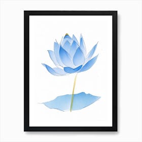 Blue Lotus Pencil Illustration 4 Art Print