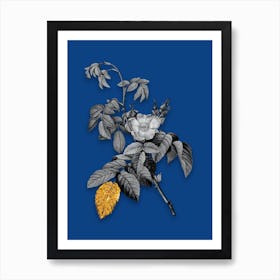 Vintage Apple Rose Black and White Gold Leaf Floral Art on Midnight Blue n.1013 Art Print