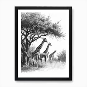 Herd Of Giraffe By The Tree 6 Art Print