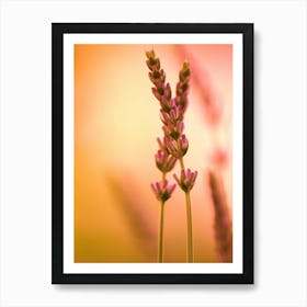 Lavender orange and yellow As Close Up Art Print