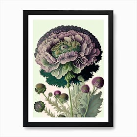 Scabiosa 1 Floral Botanical Vintage Poster Flower Art Print