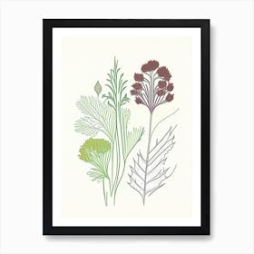 Celery Seeds Spices And Herbs Minimal Line Drawing 2 Art Print