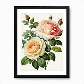 Vintage Galleria Style Rose Art Painting 32 Art Print