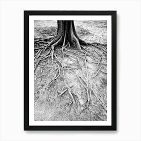 Tree Roots In Indonesia Art Print