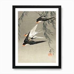 Three Red Tailed Swallows In Dive (1900 1930), Ohara Koson Art Print