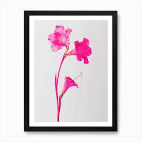 Hot Pink Gladiolus 1 Art Print