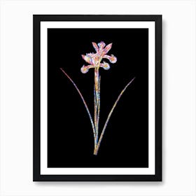 Stained Glass Spanish Iris Mosaic Botanical Illustration on Black Art Print