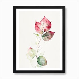 Wild Rose Leaf Minimalist Watercolour 2 Art Print