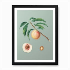 Vintage White Speckled Peach Botanical Art on Mint Green n.0981 Art Print