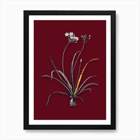 Vintage Allium Fragrans Black and White Gold Leaf Floral Art on Burgundy Red n.0285 Art Print