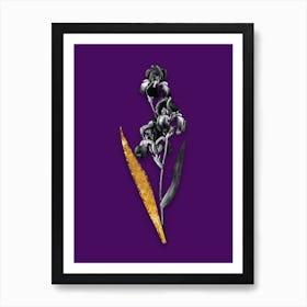 Vintage Dalmatian Iris Black and White Gold Leaf Floral Art on Deep Violet n.1164 Art Print