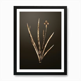 Gold Botanical Iris Martinicensis on Chocolate Brown n.2724 Art Print