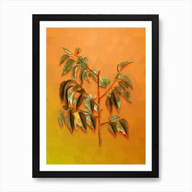 Vintage Common Hackberry Botanical Art on Tangelo n.0691 Art Print