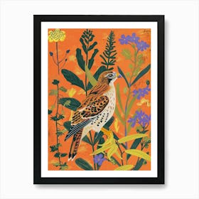 Spring Birds Hawk 1 Art Print