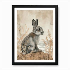 Silver Fox Rabbit Drawing 4 Art Print