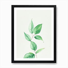 Spearmint Leaf Minimalist Watercolour 2 Art Print